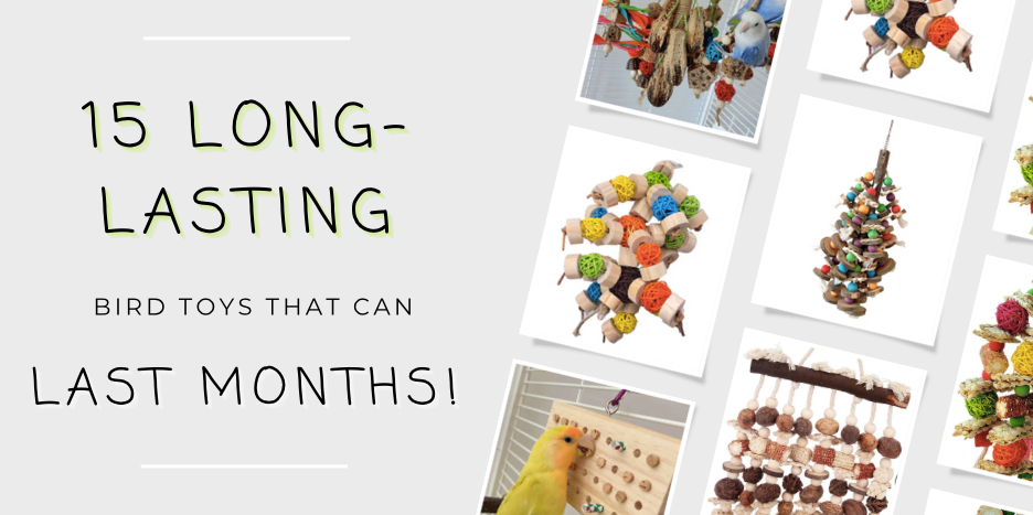 15 Long-lasting Bird Toys That Can Last Months!