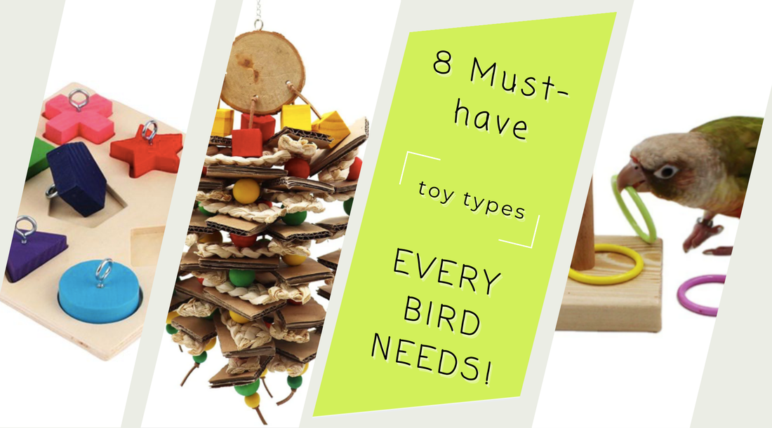 8 Must-Have Toy Types Every Bird Needs