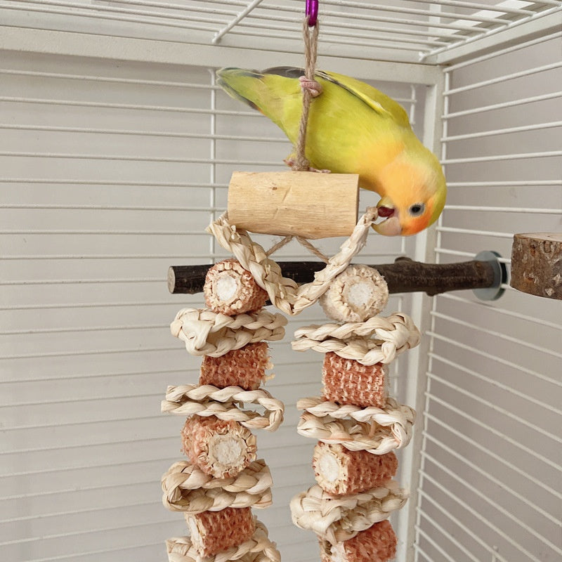 Large Beak Grinding Corn Chewing Toy