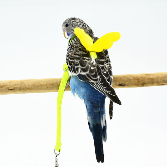 Angel Wings Bird Harness