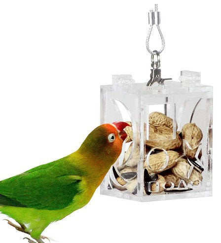 Foraging Box Feeder