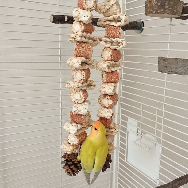 Large Beak Grinding Corn Chewing Toy