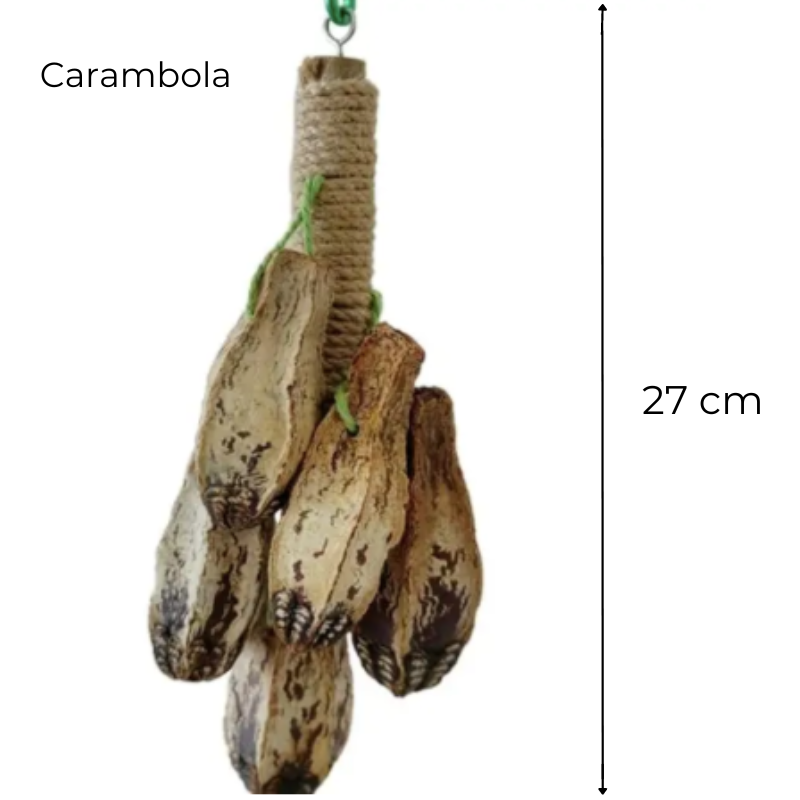 6 Pcs Set Carambola Nuts Natural Toys