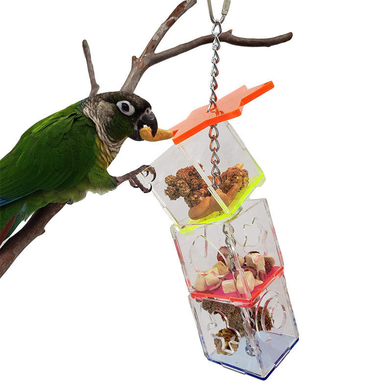 Foraging Device Cage Feeder