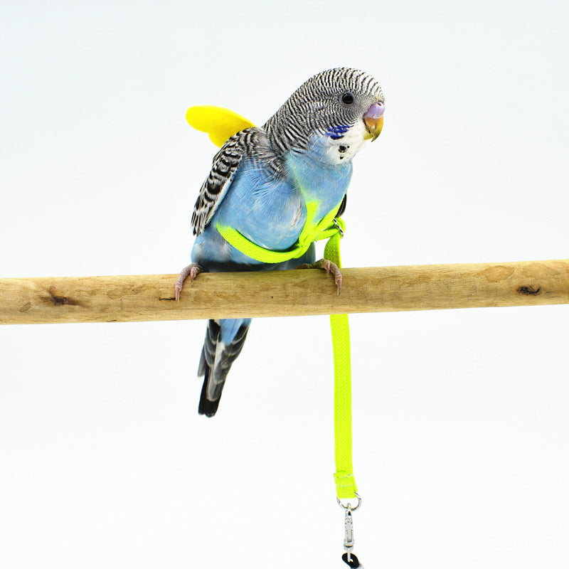 Angel Wings Bird Harness