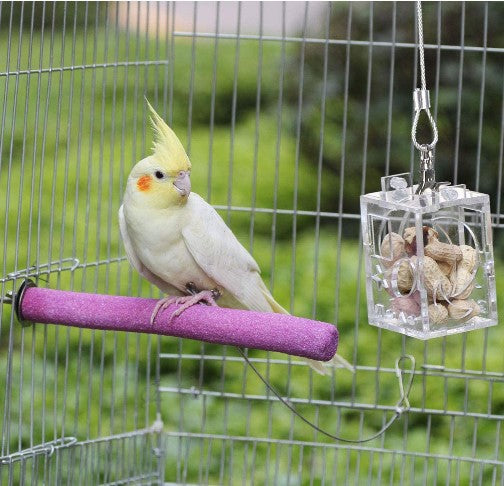 Foraging Box Feeder