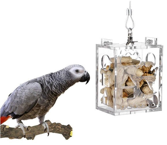 Foraging Box Feeder