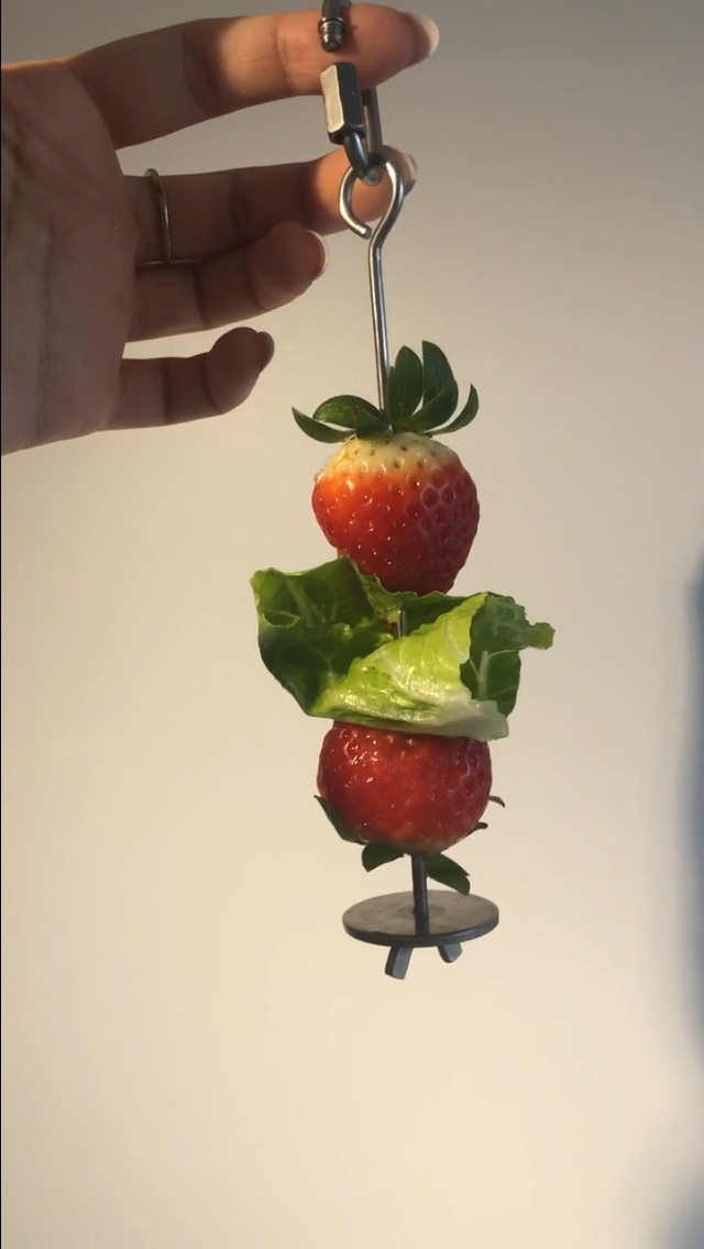 Stainless Steel Fruit Skewer