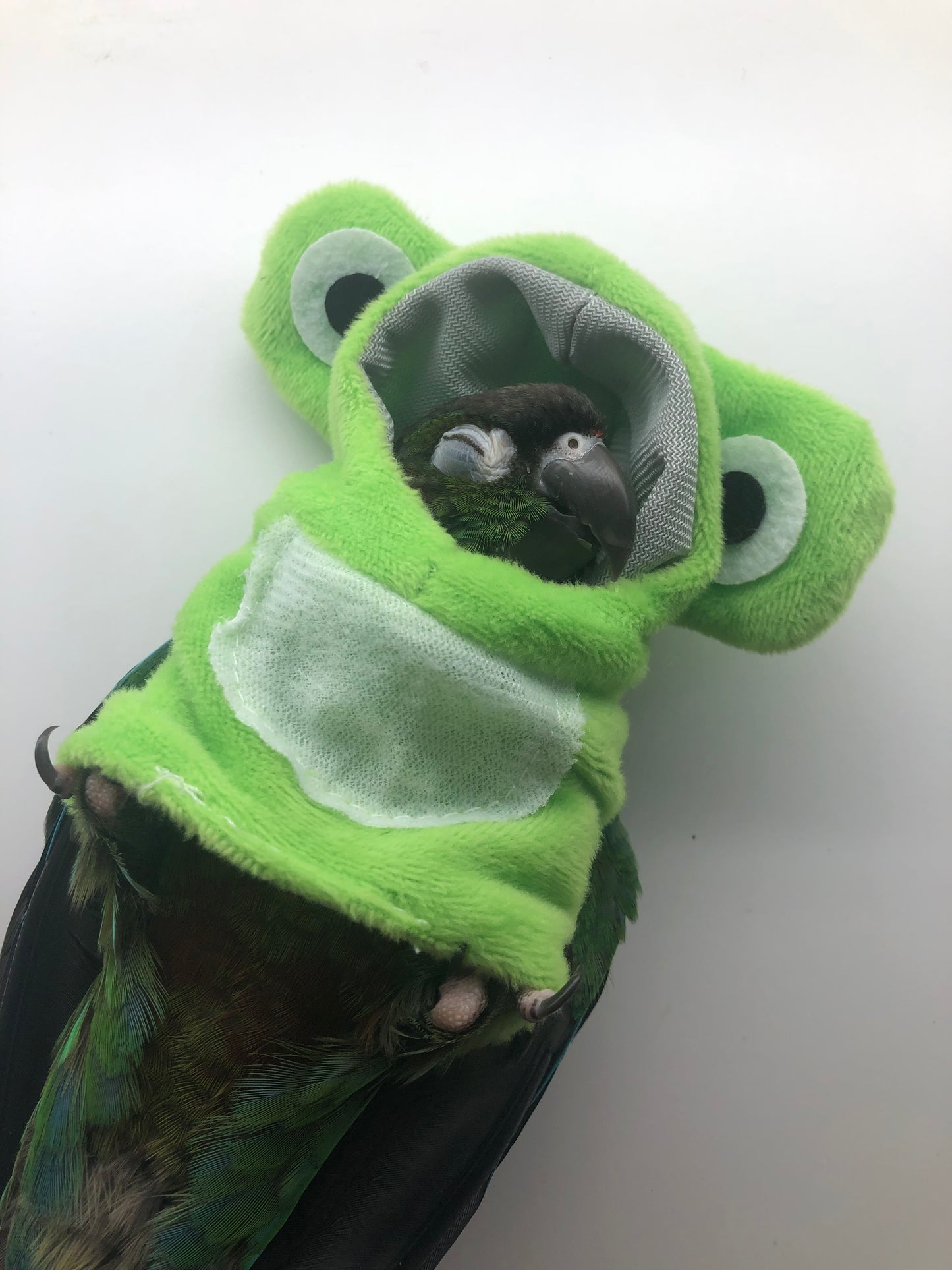 Frog Hoodie