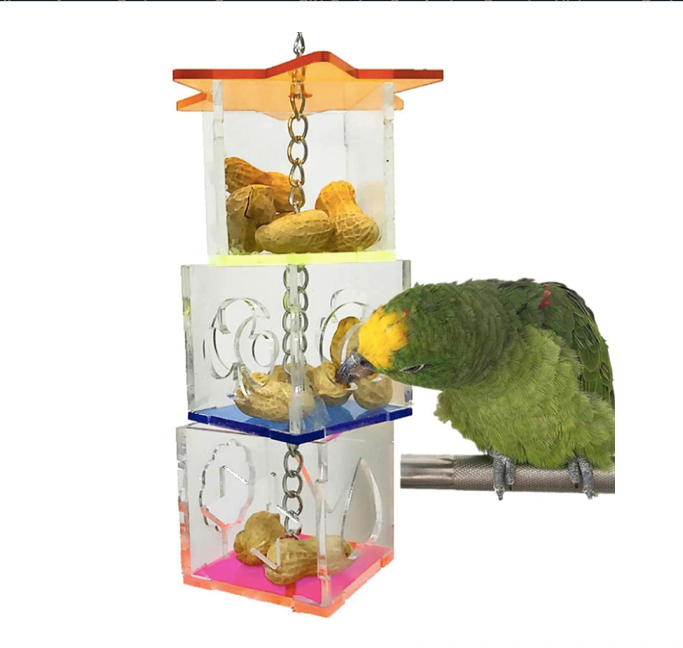 Foraging Device Cage Feeder