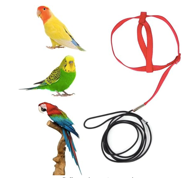 Bird Harness