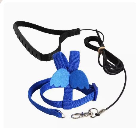 Angel Wings Bird Harness