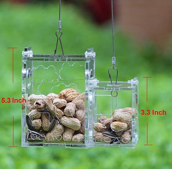 Foraging Box Feeder