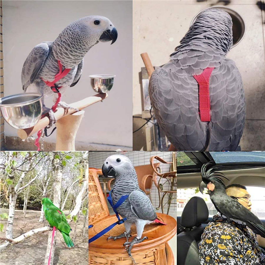 Bird Harness