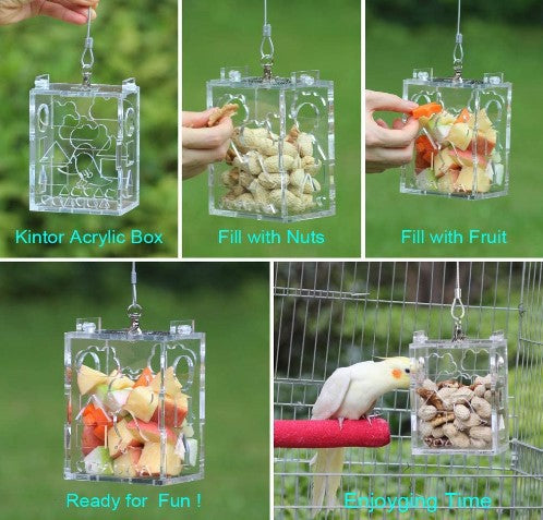 Foraging Box Feeder